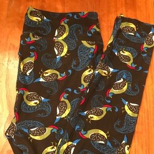 Lularoe TC leggings peacock bird pattern